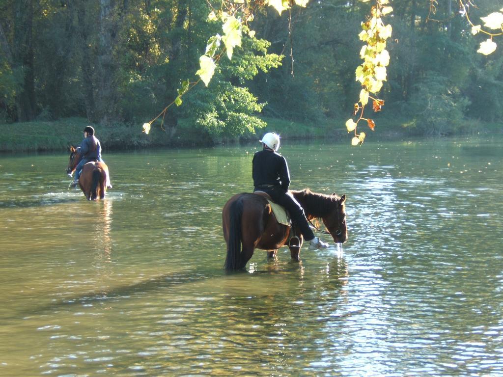 Camping La Digue Chauzon Kültér fotó